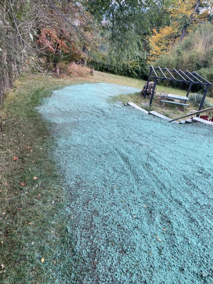 Fresh hydroseed application across sloped backyard with full-surface coverage