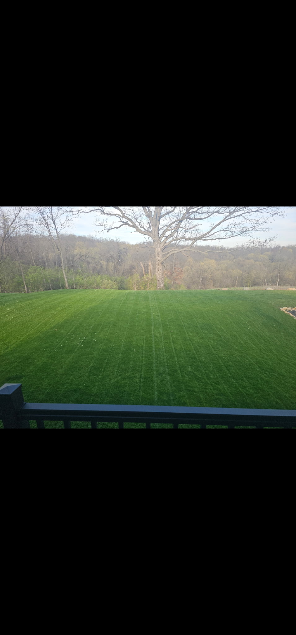 Professional lawn care