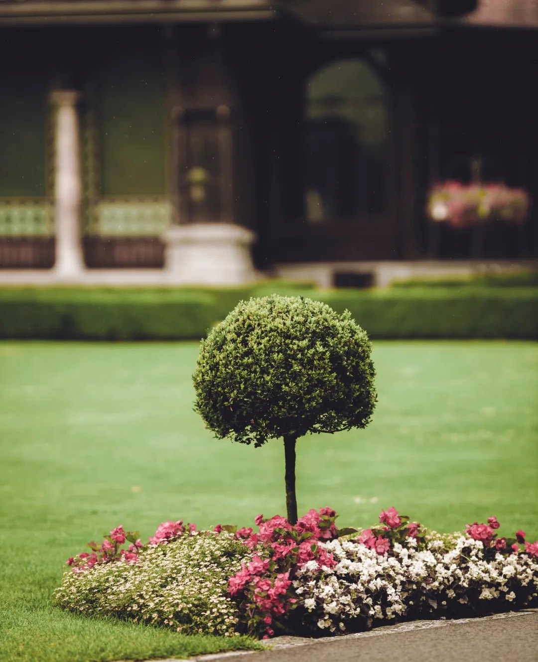 person gardening