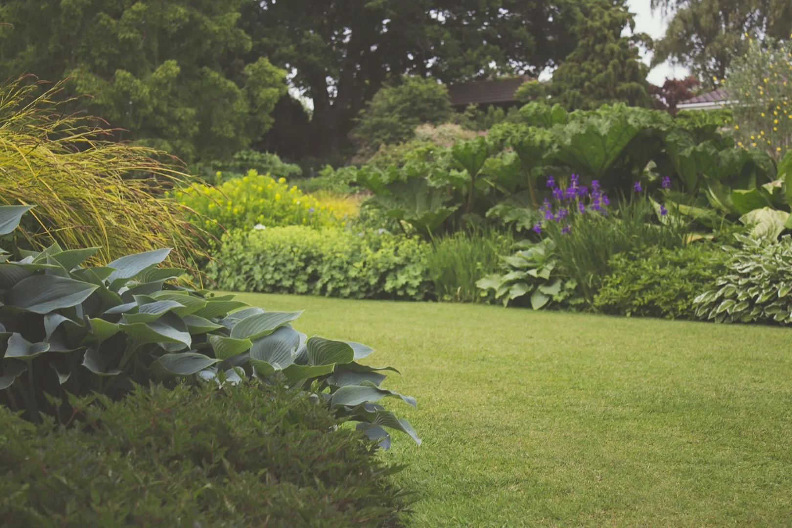 urban environment in green